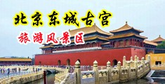 免费的考屄网站中国北京-东城古宫旅游风景区